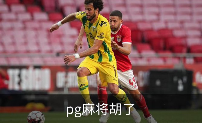 pg麻将胡了概况
